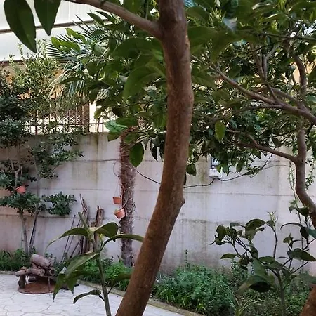 Vila Dedi Ferienhaus
